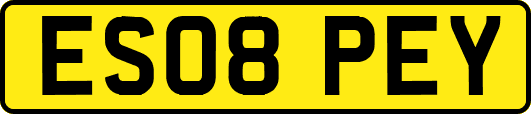 ES08PEY