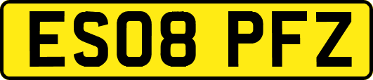 ES08PFZ