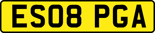 ES08PGA