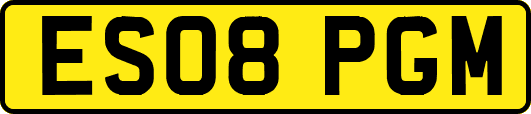 ES08PGM
