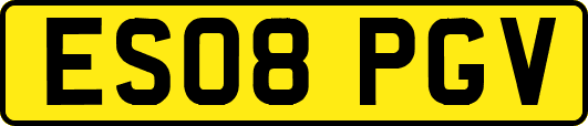 ES08PGV