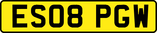 ES08PGW