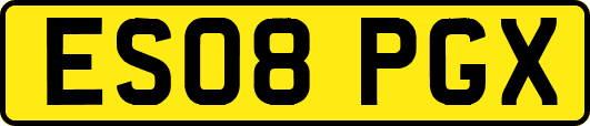 ES08PGX
