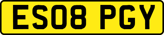 ES08PGY
