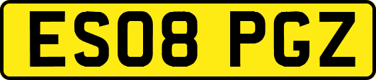 ES08PGZ
