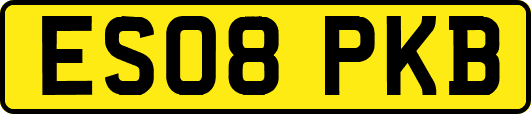 ES08PKB