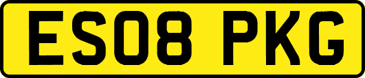 ES08PKG
