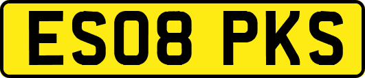 ES08PKS