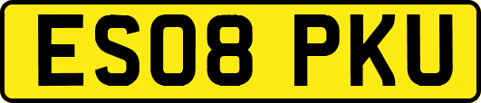 ES08PKU