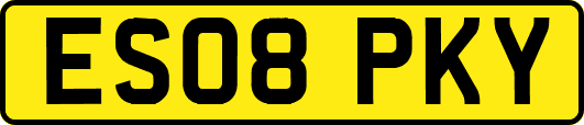 ES08PKY