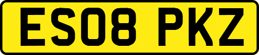 ES08PKZ