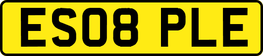 ES08PLE