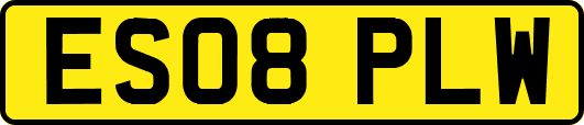 ES08PLW