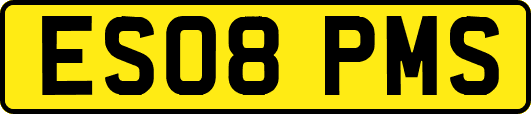 ES08PMS