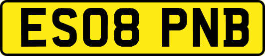 ES08PNB