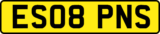 ES08PNS