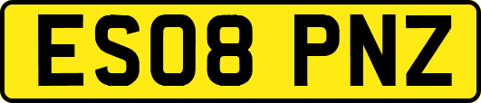 ES08PNZ