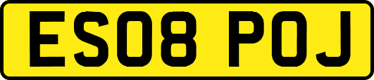 ES08POJ