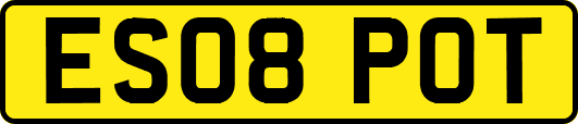 ES08POT