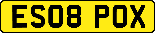 ES08POX