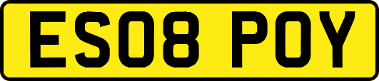 ES08POY