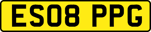 ES08PPG