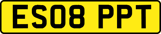 ES08PPT