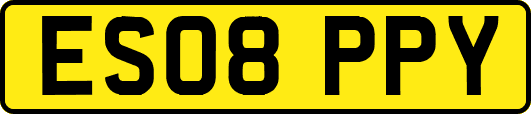 ES08PPY