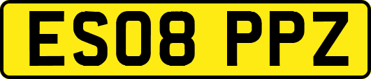 ES08PPZ