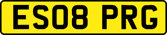 ES08PRG