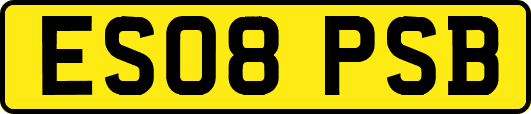 ES08PSB