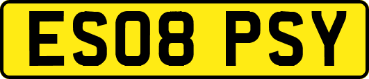 ES08PSY