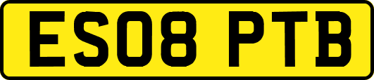 ES08PTB