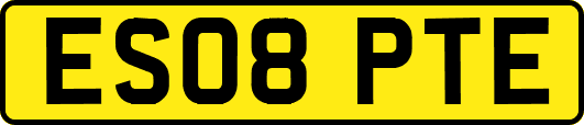 ES08PTE