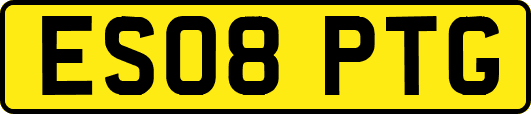 ES08PTG