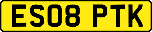 ES08PTK