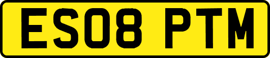 ES08PTM