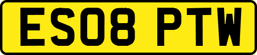 ES08PTW