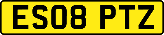 ES08PTZ