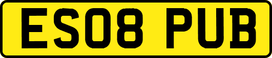 ES08PUB