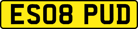 ES08PUD