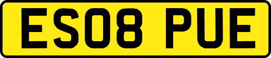 ES08PUE