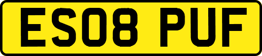 ES08PUF