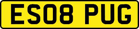 ES08PUG
