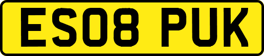 ES08PUK