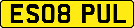 ES08PUL