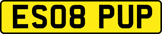 ES08PUP