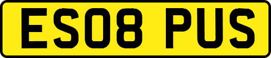 ES08PUS
