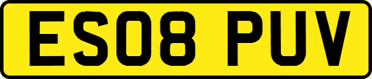 ES08PUV