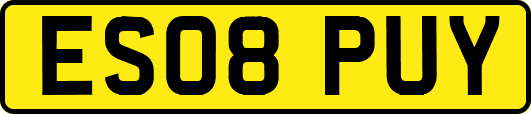 ES08PUY